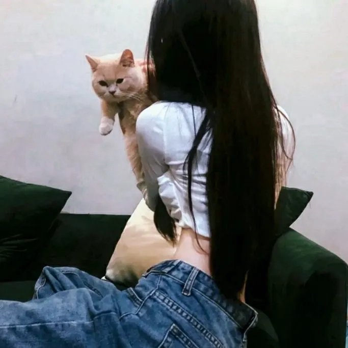暗杀龙马 在线观看